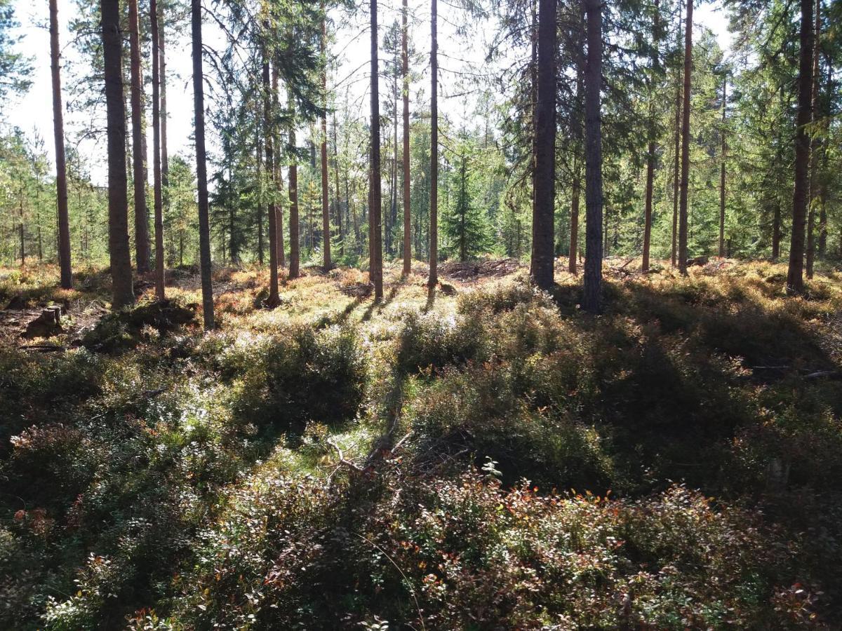Presterudveien 125 Feriehus Vikersund